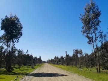 Venta / Parcela / Chillán