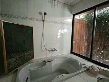 Imagen 12
