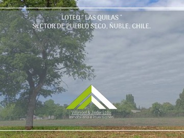 Venta / Parcela / Chillán