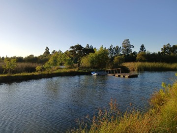 Venta / Parcela / Chillán