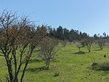 Imagen 19