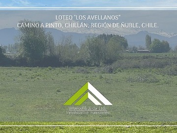 Venta / Parcela / Chillán