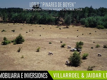 Imagen 4