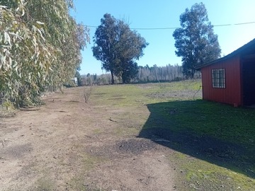Imagen 4
