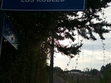 Imagen 6
