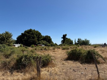 Venta / Parcela / Chillán