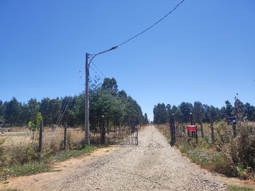 Imagen 11