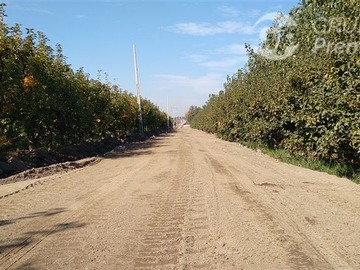 Imagen 9