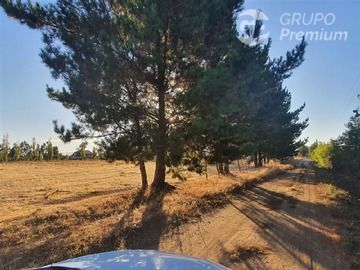 Venta / Parcela / Chillán