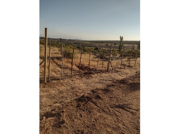 Imagen 6