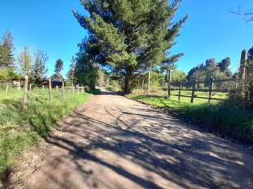 Imagen 18