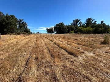 Venta / Parcela / Chillán