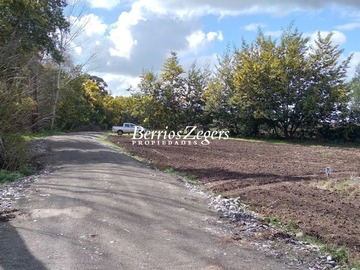 Imagen 5
