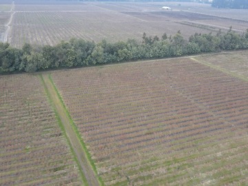 Venta / Parcela / Chillán