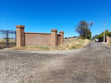 Imagen 10