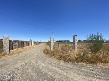 Venta / Parcela / Chillán