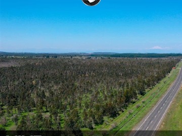 Venta / Parcela / Chillán