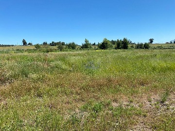 Venta / Parcela / Chillán