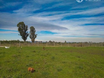 Imagen 11