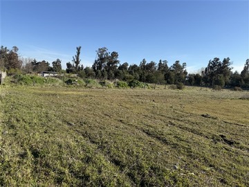 Venta / Parcela / Chillán