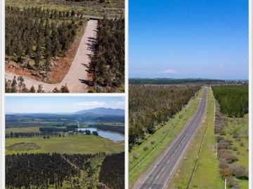 Venta / Parcela / Chillán