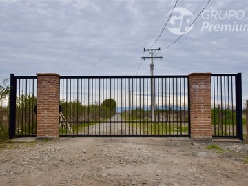Imagen 4