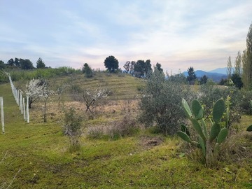 Imagen 9