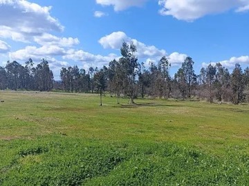 Venta / Parcela / Chillán