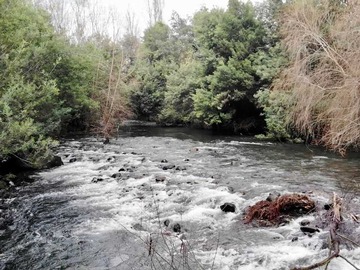 Venta / Parcela / Chillán