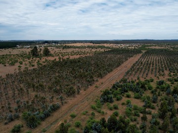 Venta / Parcela / Chillán