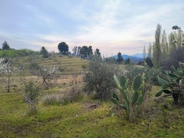 Imagen 8