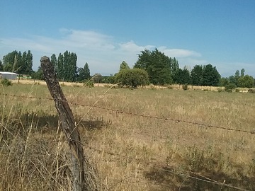 Venta / Parcela / Chillán