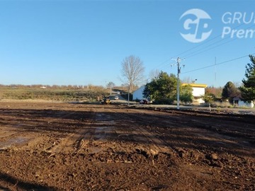 Imagen 6