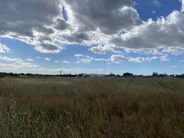 Venta / Parcela / Chillán