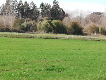 Imagen 15