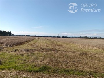 Venta / Parcela / Chillán