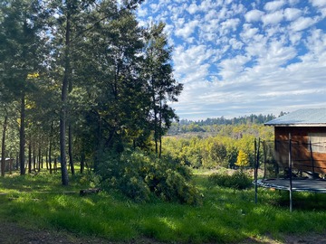 Venta / Parcela / Chillán