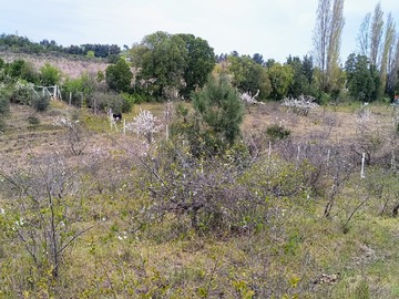 Imagen 18