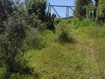 Imagen 5