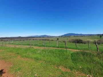 Venta / Parcela / Chillán