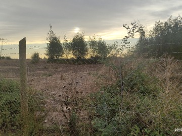 Venta / Parcela / Chillán