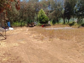 Venta / Parcela / Chillán