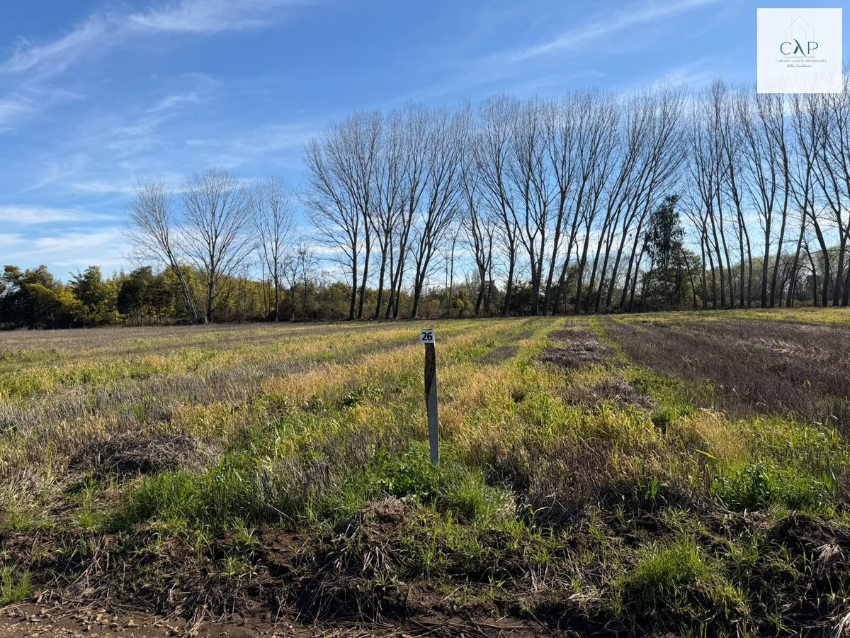 TERRENO PLANO