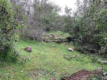 Imagen 8