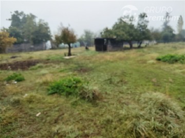 Imagen 29