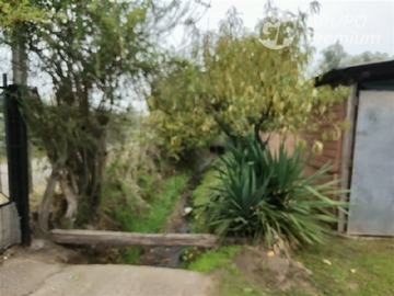 Imagen 17