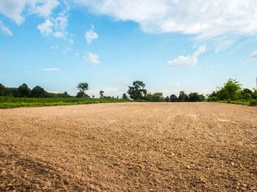 Venta / Parcela / Chimbarongo