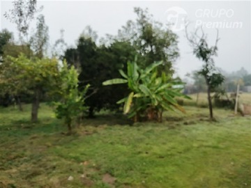 Imagen 32