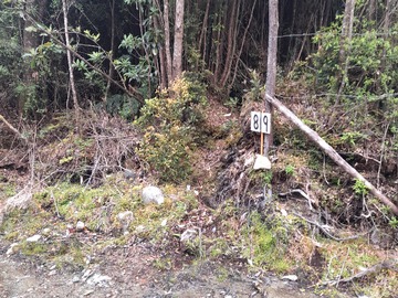 Venta / Parcela / Chonchi