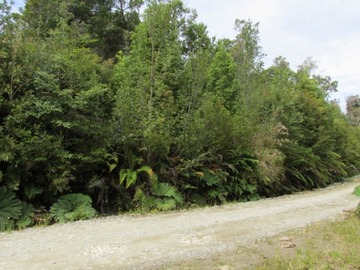 Venta / Parcela / Chonchi